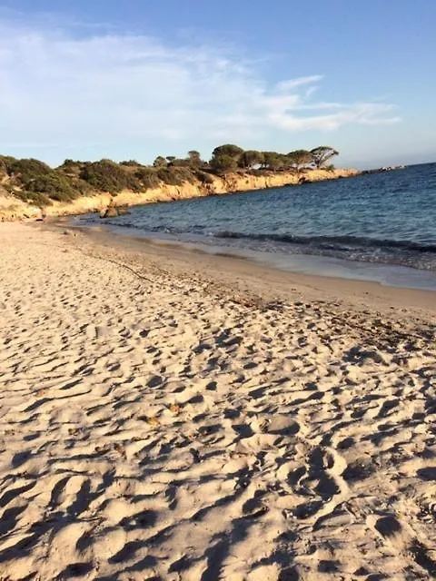 Les Grimaldines - Maison D'Hotes Guest house Cagnes-sur-Mer
