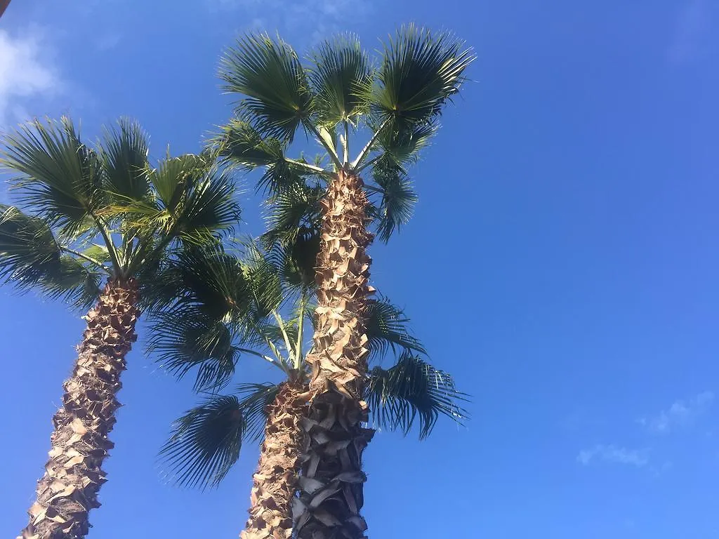Les Grimaldines - Maison D'Hotes Cagnes-sur-Mer Gasthuis